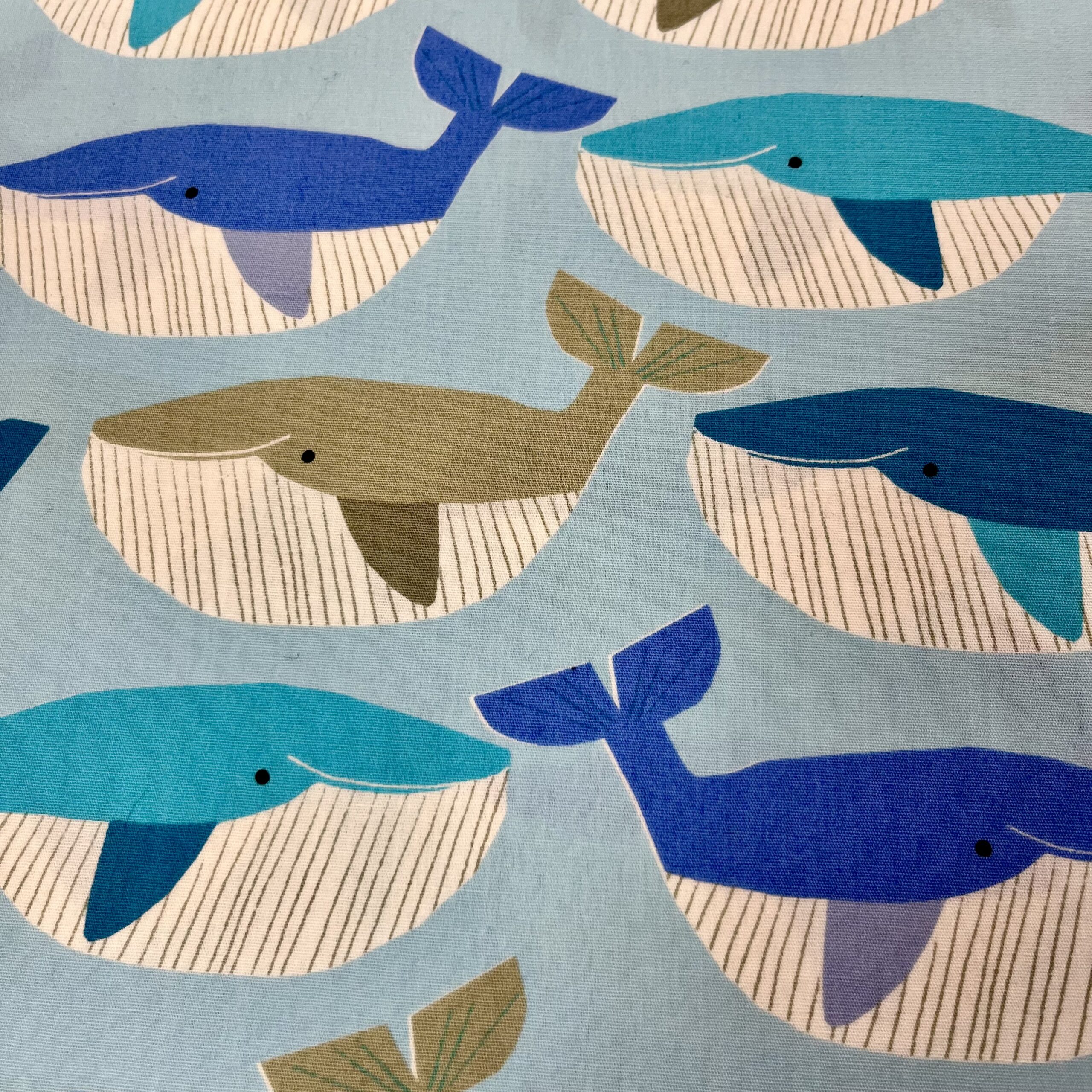 Whales in the blue