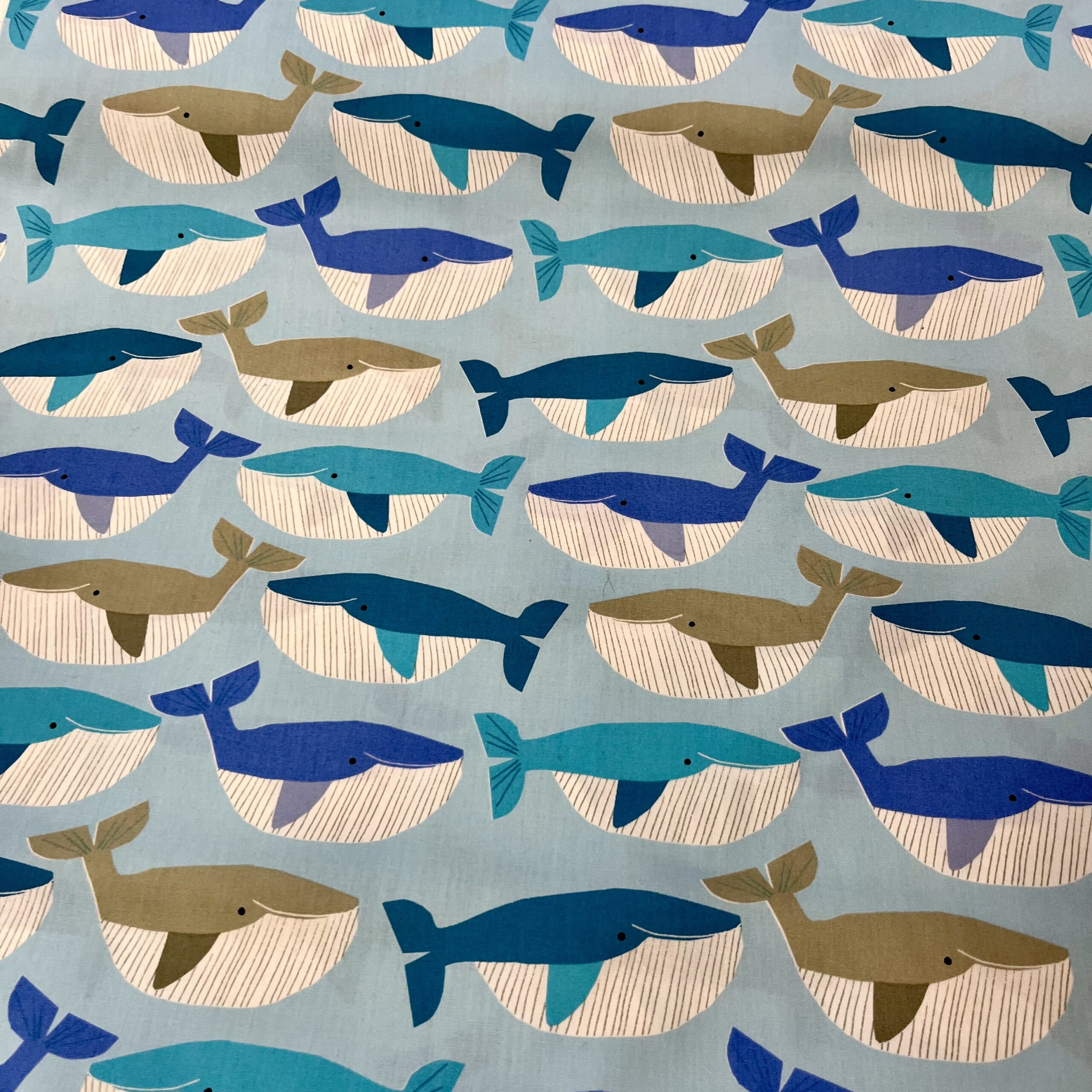 Whales in the blue - Image 3