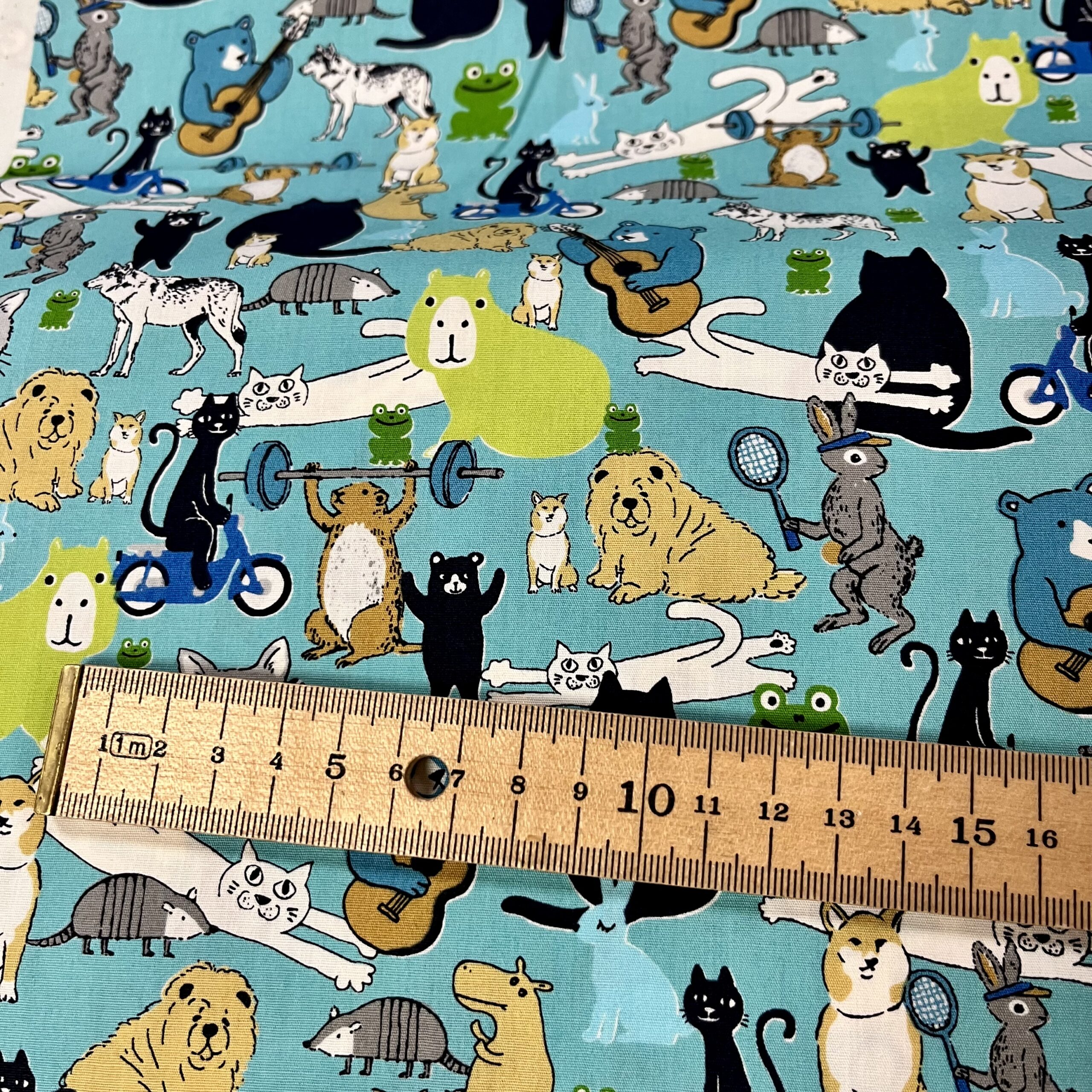 Cats, Dogs, Frogs, Bears & more - Image 2