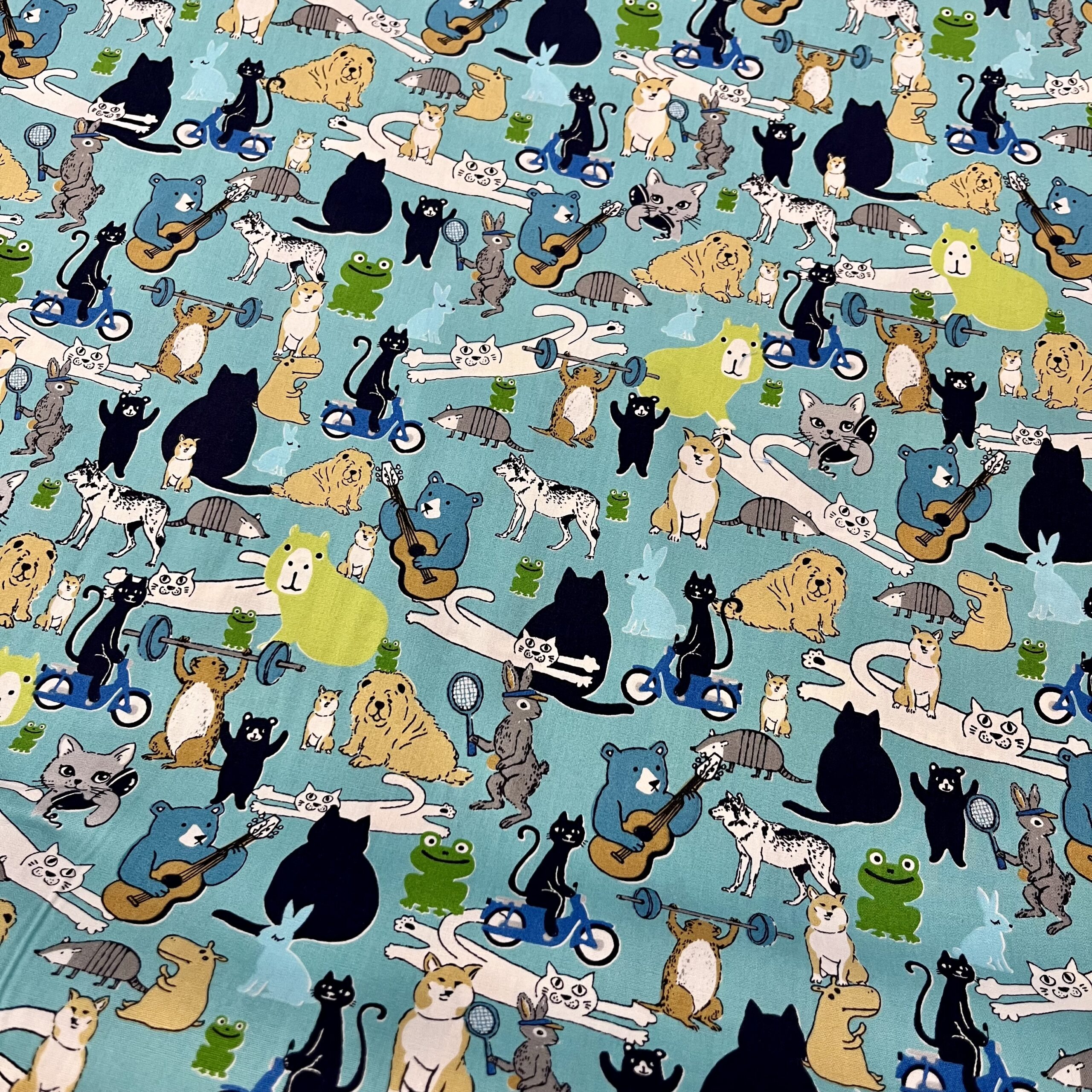 Cats, Dogs, Frogs, Bears & more - Image 3