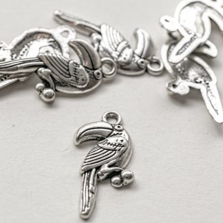 toucan charm