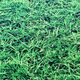 Grass fabric